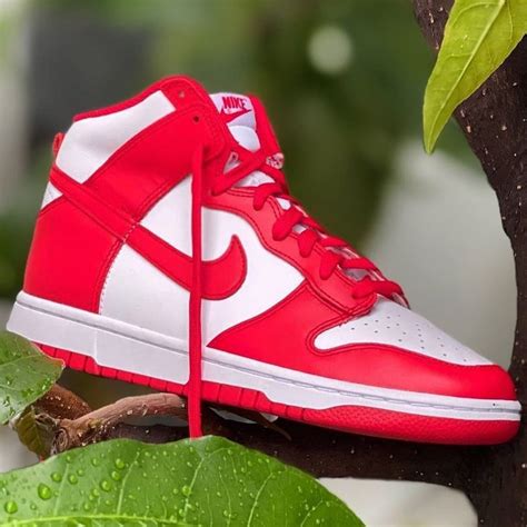 nike dunk high damen rot|dunks herren.